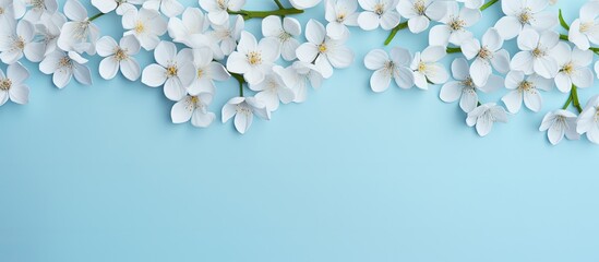 Poster - Top view of a light blue background with white spring flowers providing copy space for your text