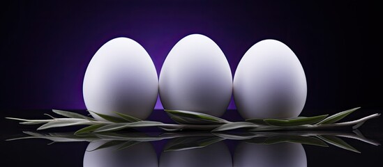 Wall Mural - A view from above shows three white Easter eggs resting on a dark background with lavender creating a visually appealing copy space image
