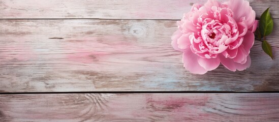 Poster - Top view of an old grunge painted board with a pink peony and a heart carved in wood creating a stylish copy space image