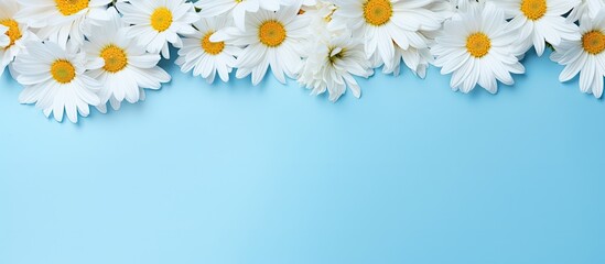 Wall Mural - A floral arrangement of yellow and white daisies and petals on a blue background with blank letter papers creating a beautiful spring or summer copy space image for design purposes