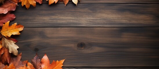 Aufkleber - A wood background with dried leaves arranged in a frame captures the essence of autumn The flat lay composition offers a top view with copy space