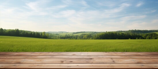 Poster - Wooden deck table placed against a green field background creating an empty material for a product display montage Copy space image