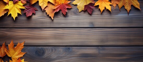 Aufkleber - Top view of autumn leaves arranged in a flat lay composition on a wooden background creating a visually appealing copy space image