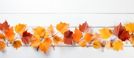 Aufkleber - A school themed background with autumn leaves on a white wooden surface perfect for showcasing fall designs in a copy space image