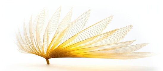 Canvas Print - A close up image of a badminton shuttlecock isolated on a white background providing copy space