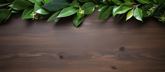 Aufkleber - Wooden background with a bouquet of fresh laurel leaves a picturesque copy space image