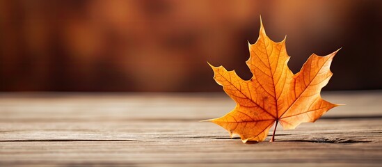 Aufkleber - Autumn leaf placed on a wooden surface creating a visually pleasing composition with empty space for additional images or text