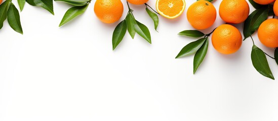Wall Mural - Copy space image of an isolated orange or tangerine with vibrant leaves on a white background perfectly suited for your text placement Viewed from the top presented in a pleasing flat lay style