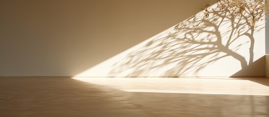Fototapete - A tree s shadow casting across the floor depicting the concept of a tree providing shade. Creative banner. Copyspace image