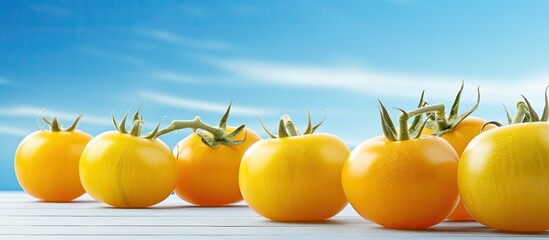 Poster - Close up of ripe yellow tomatoes on a light blue wooden table with copy space image available for text
