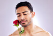 Man, rose and closeup in studio for natural skincare, organic ingredient and cosmetic. Spanish model, flower and floral on white background with mockup space for makeup, facial cleanser and treatment