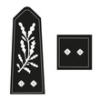 Galon de l'armée française, de la police nationale, du corps de commandement : Corps de commandement, contrôleur général des services actifs de la police nationale