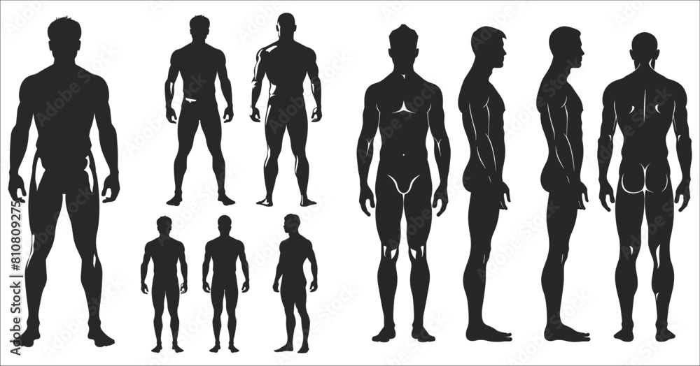 Male human body silhouettes, Human body silhouette, Man front and side ...