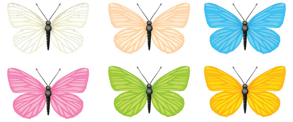 Wall Mural - Six vibrant butterflies in various colors