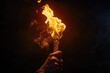 © Fotograf - A hand holding a burning torch in the dark. Suitable for dramatic or mysterious themes