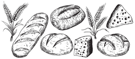 Wall Mural - set of bread and cheese. vector drawing in sketch style