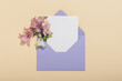 Lilac envelope with pink Aquilegia flowers and blank letterhead on a beige background.Greeting card.