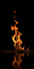 Wall Mural - Close up vertical photo of fire  flame isolated on a black background
