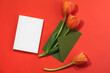 Three red tulips on a red background, a green envelope and a blank white card. Congratulations, invitation with copy spaces.