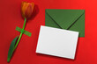 Red tulip taped on a red background, an envelope and a blank white card. Greeting card, invitation.