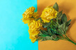 Bouquet of yellow roses on a blue and yellow background.