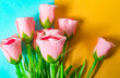 Bouquet of pink roses on a blue and yellow background.