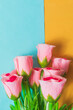 Bouquet of pink roses on a blue and yellow background. Vertical shot