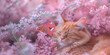 Serene ginger cat napping amid pink blooming flowers