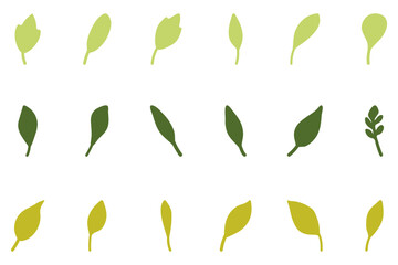 Wall Mural - Leaf set icon. Nature vector
