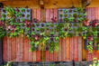 Wooden wall with vertical garden, eco friendly vertical garden