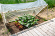 DIY plastic greenhouse or foil greenhouse for food production for small gardens, cold weather protection