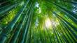 © DrPhatPhaw - Bamboo forest, the denseness of nature valuable resource