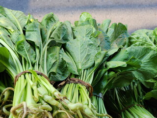 Organic choy sum harvested from the backyard. The leaf stalks are light green and the leaves are thin, smooth, and have no bad smell. Flowering white cabbage is commonly used in cooking. Wet vegetable