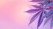 Purple Marijuana Leaf, Banner with Copy Space for Text. Vibrant Cannabis Plant Leaves on Pastel Purple and Pink Gradient Background.