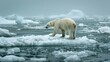 The impact of climate change and rising global temperatures concept background with a polar bear stranded on a melting iceberg