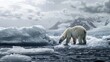 The impact of climate change and rising global temperatures concept background with a polar bear stranded on a melting iceberg