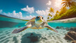 Tartaruga sospesa a mezz'acqua, sullo sfondo un'isola tropicale.