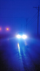 Wall Mural - A car is driving down a wet road at night