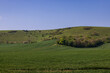 Farmland in the South Downs on a sunny morning in May