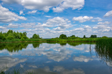 Wall Mural - Quiet river backwater with beautiful reflection of clouds in the water