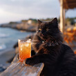 Fluffy fat black cat by the seaside
