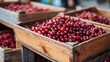 Fresh red Huckleberries in wooden crates for sale
