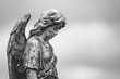 © Alexandra - Monochrome image of a sorrowful angel statue with detailed wings, symbolizing mourning and eternal guardianship in a serene funeral setting