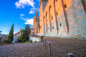 Wall Mural - Ancient city of Avignon square and Pope palace view