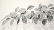 leaves branches plants hand drawn pencil minimalistic background