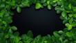 green leaves, frame of leaves background, free space, for design, copy space