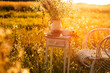 vintage white armchair and table with a cup of tea in a field at sunset. soft sunlight. tea party at sunset