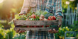 Assortment of local farmer bio organic ripe vegetables in hands