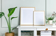 Mockup photo frames on the white wooden cabinet with house plants