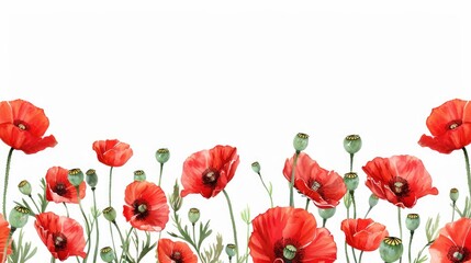 Wall Mural - Red poppy border with room for text